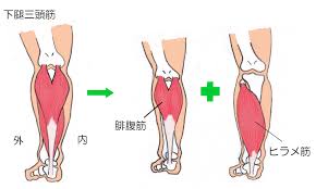東御,整体,頭痛,肩こり,腰痛,指圧,経絡,筋膜リリース,マッサージ,180度開脚