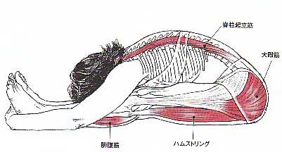 東御,整体,頭痛,肩こり,腰痛,指圧,経絡,筋膜リリース,マッサージ,180度開脚
