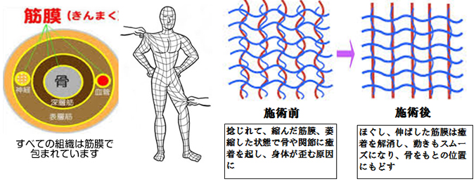 東御市,上田市,小諸市,整体,指圧,ほぐしや,指圧,整体,アクティブ・アイソレーテッド・ストレッチ(AIS)